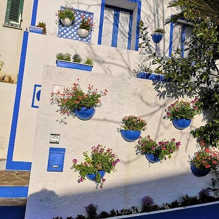 툴라다 La Porta Blu 빌라 외부 사진